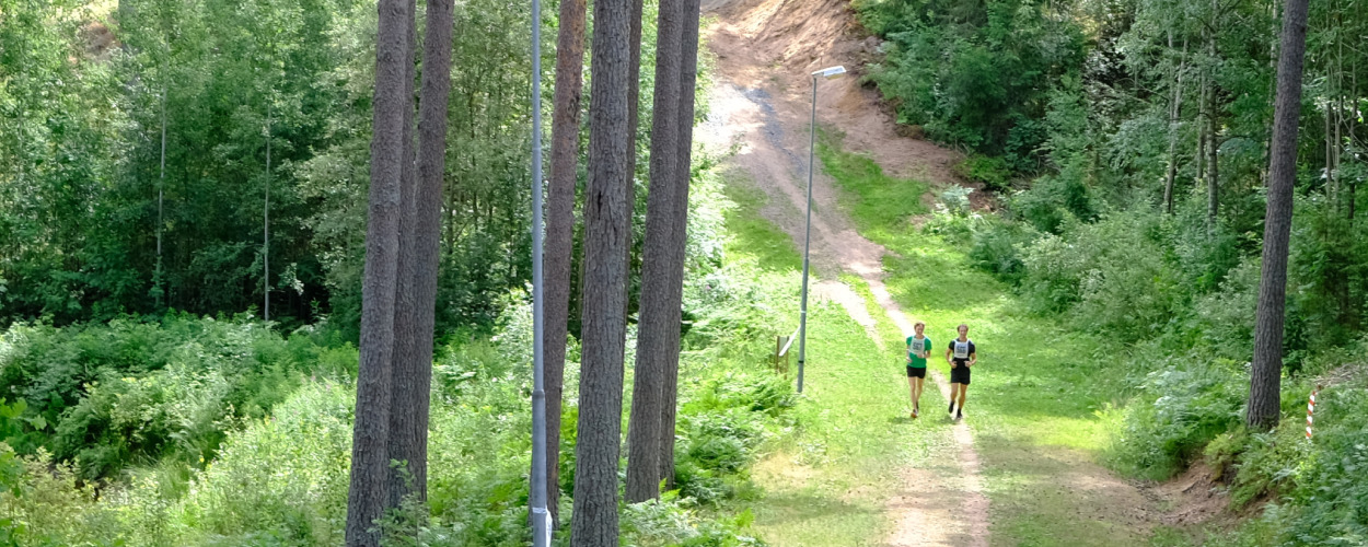 Skogen